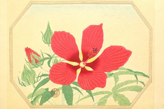 1932, Ukiyoe, Original Sōsaku-hanga, Woodblock print, Tomikichiro Tokuriki, "Hibiscus coccineus"