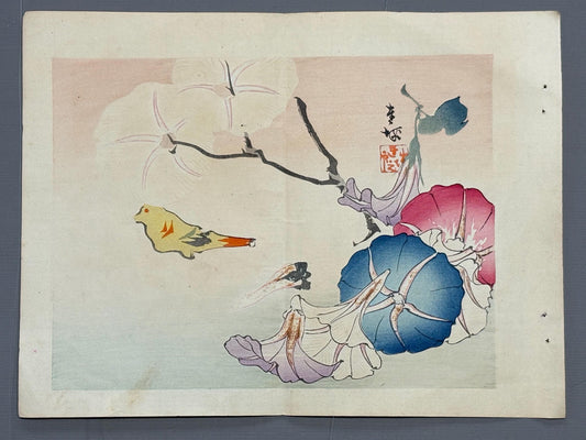 1913, Japanese Woodblock print, antique, Ichimi Renjo, "Morning Glories and Gathered Blossoms".