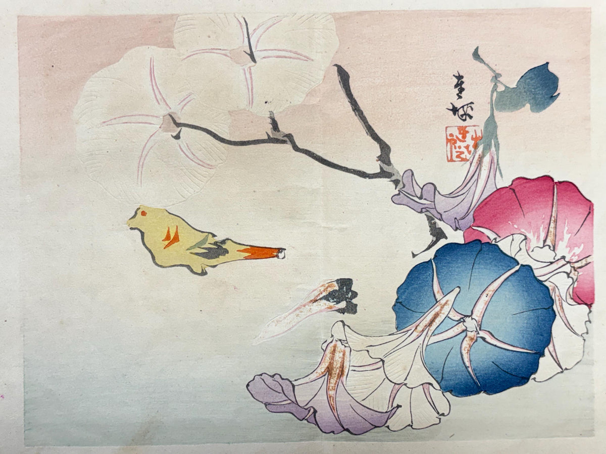 1913, Japanese Woodblock print, Ichimi Renjo, "Morning Glories and Gathered Blossoms".