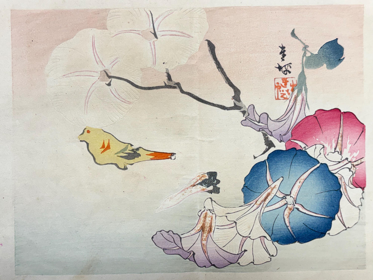 1913, Japanese Woodblock print, antique, Ichimi Renjo, "Morning Glories and Gathered Blossoms".