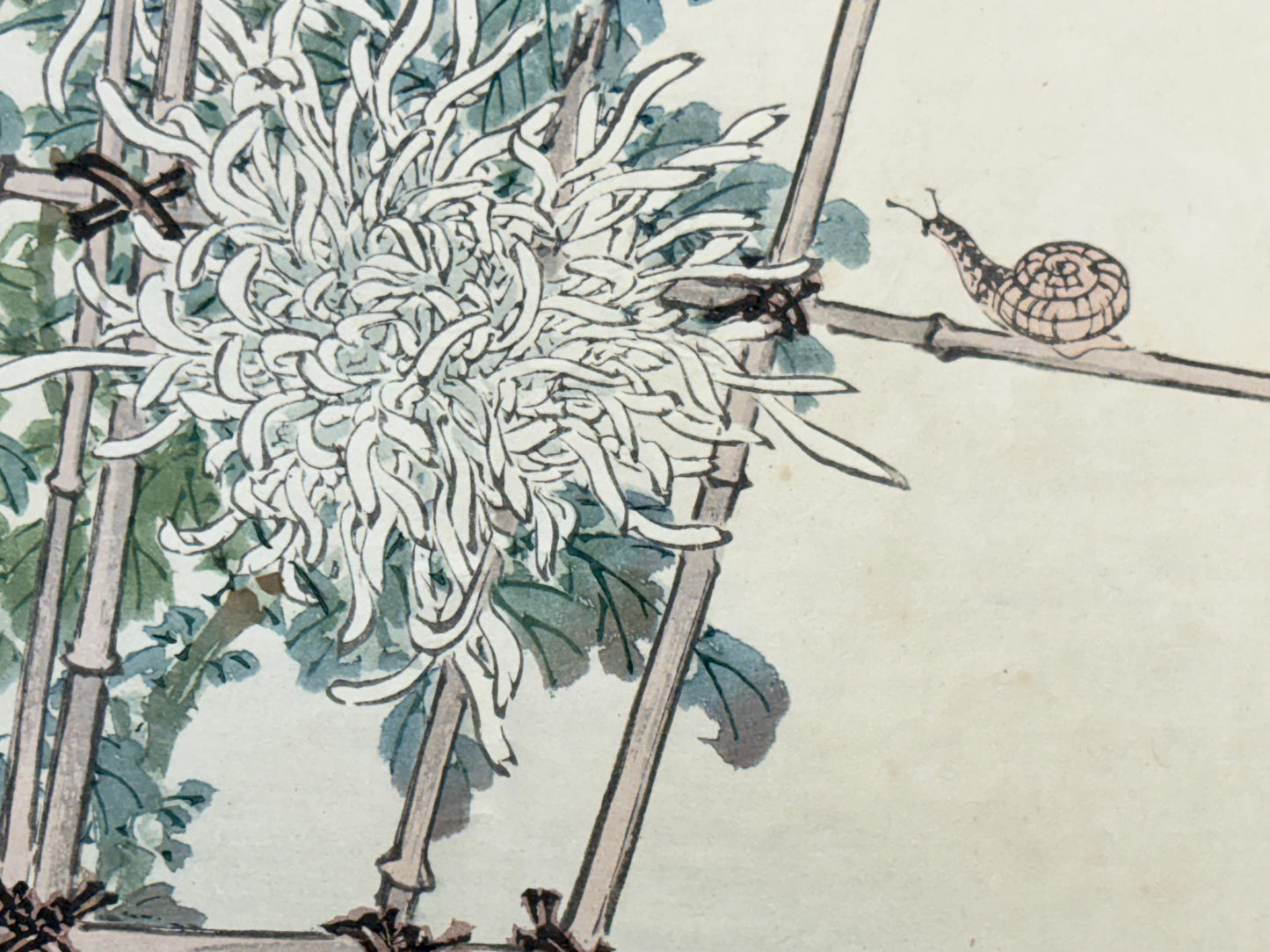 1913, Japanese Woodblock print, antique, Kono Bairei.