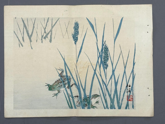 1913, Japanese Woodblock print, antique, Yamada Shokei, "Two Frogs in Summer Rice Fields.
