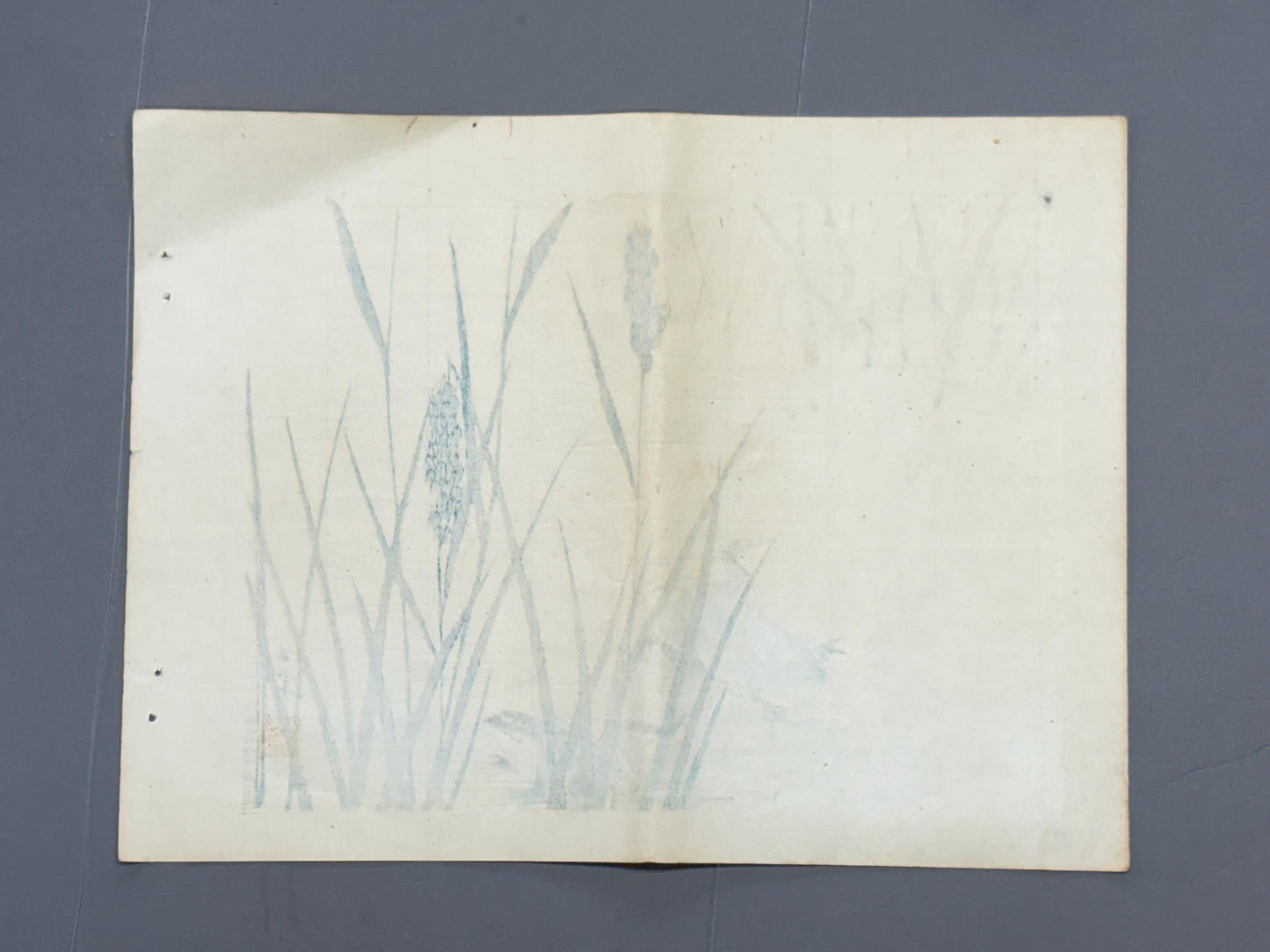 1913, Japanese Woodblock print, antique, Yamada Shokei, "Two Frogs in Summer Rice Fields.