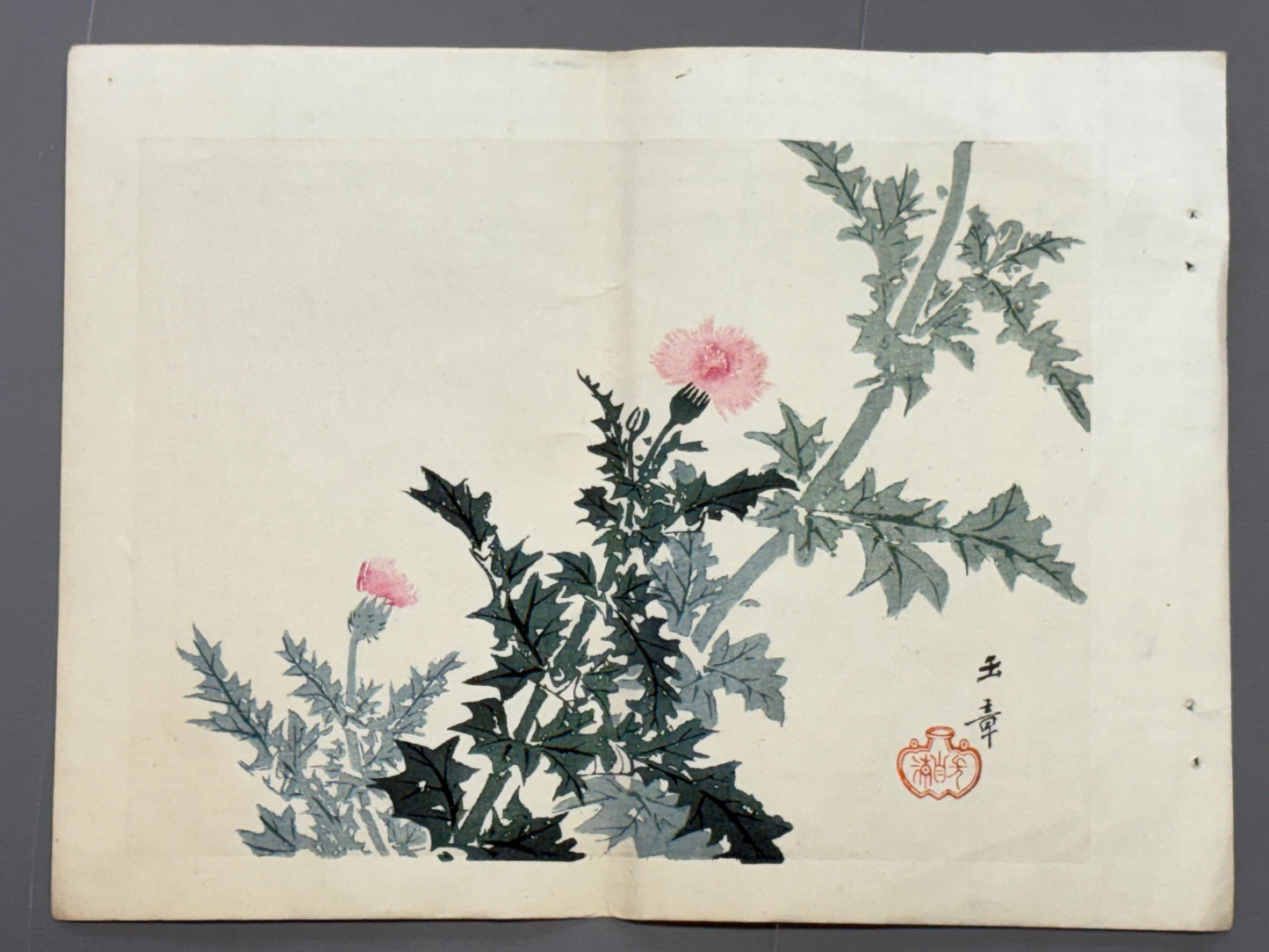 1913, Japanese Woodblock print, antique, Kawabata Gyokushu,  "Thistle Blossom".
