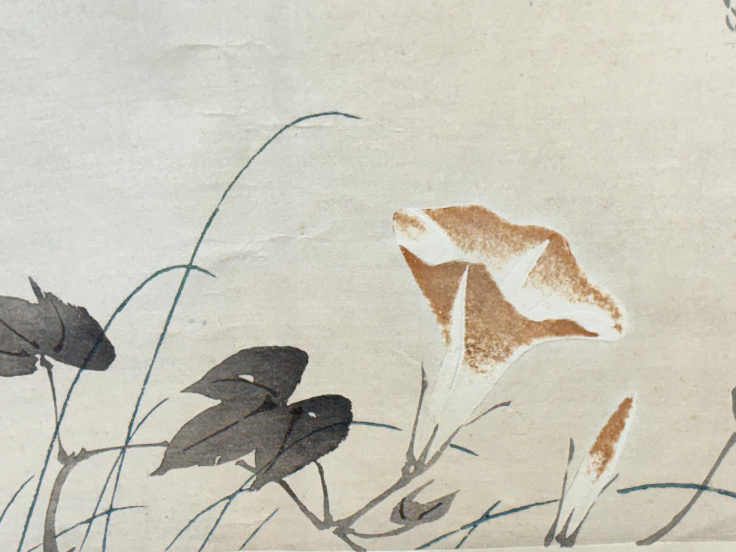 1913, Japanese Woodblock print, antique, Yamada Shokei,  "Butterfly and Morning Glories".