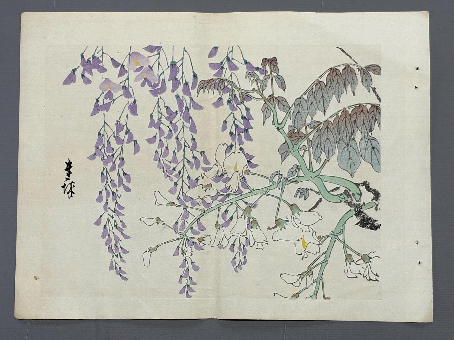 1913, Japanese Woodblock print, antique, Ichimi Renjo,  "Purple and White Wisteria".