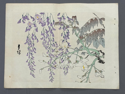 1913, Japanese Woodblock print, antique, Ichimi Renjo,  "Purple and White Wisteria".