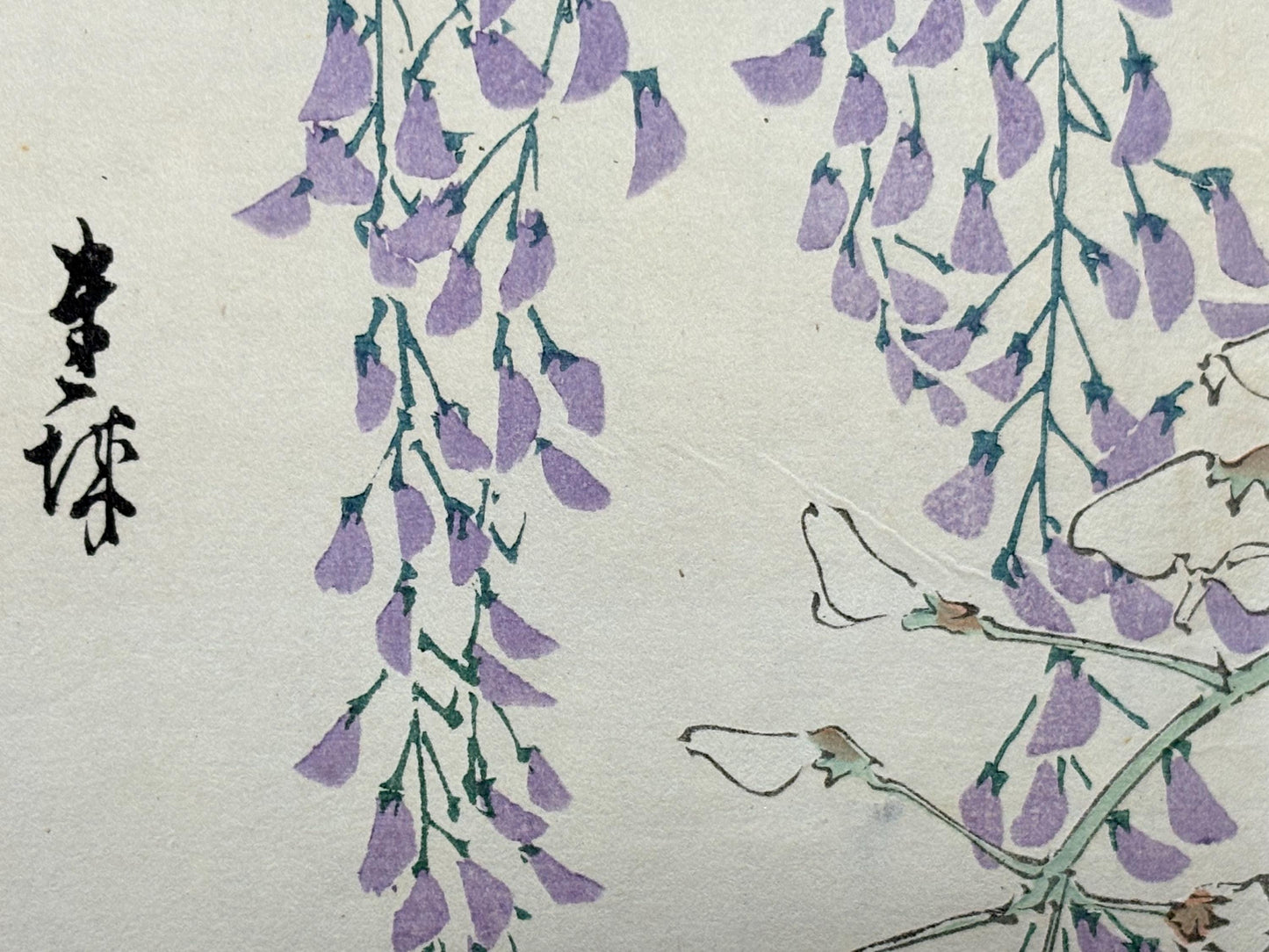 1913, Japanese Woodblock print, antique, Ichimi Renjo,  "Purple and White Wisteria".