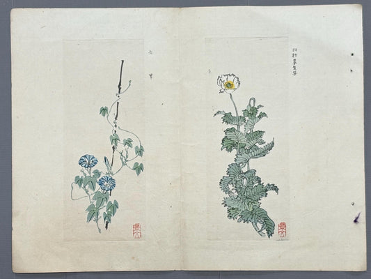 1913, Japanese Woodblock print, antique, Yamada Shokei,  "Poppies and Morning Glories".