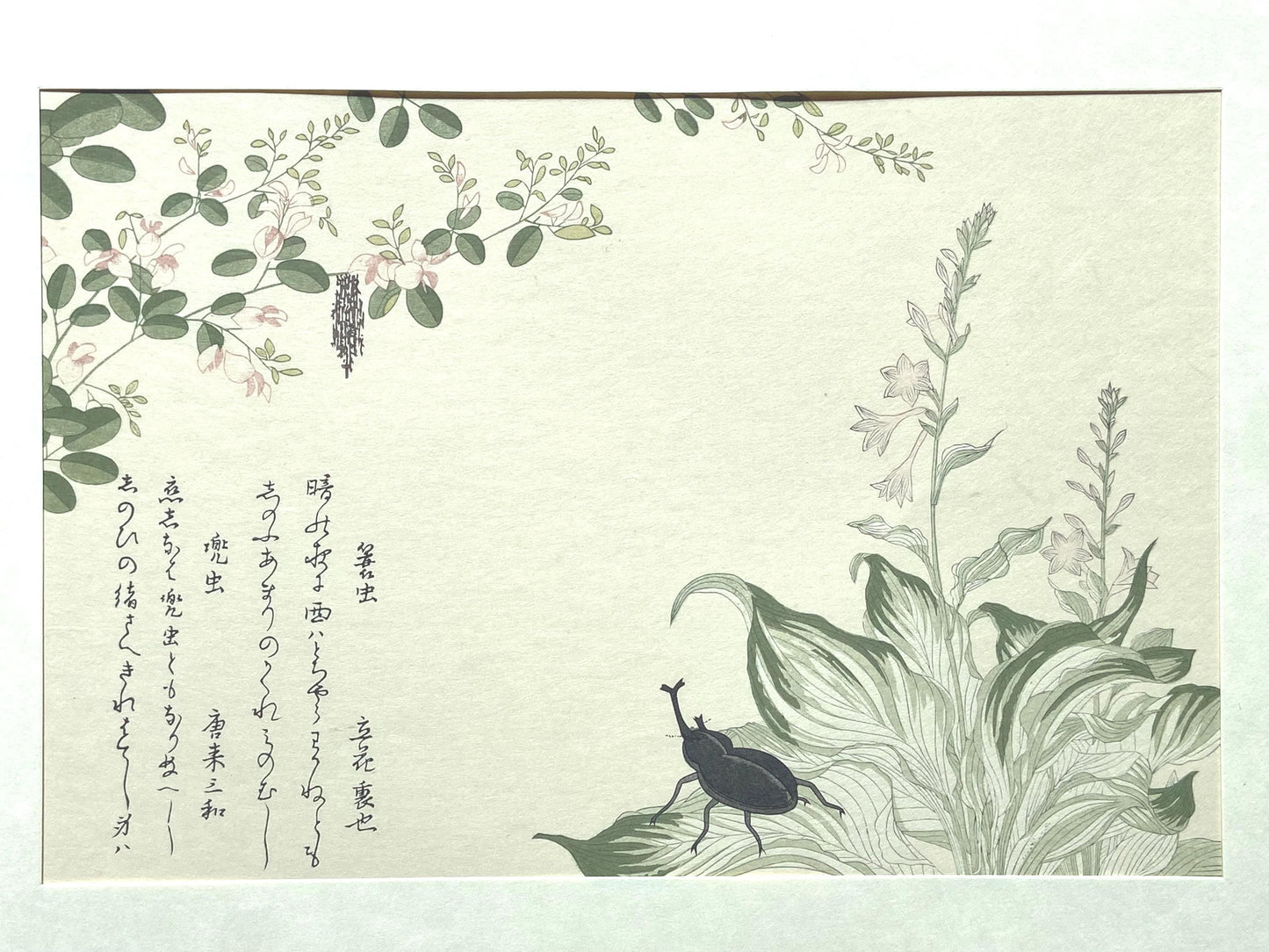 Japanese Ukiyoe, woodcut print, Utamaro, "Horned Scarab Beetle (Kabutomushi) and Bagworm (Minomushi)"