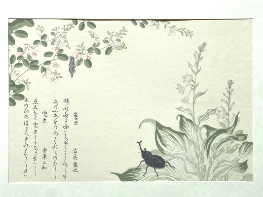 Japanese Ukiyoe, woodcut print, Utamaro, "Horned Scarab Beetle (Kabutomushi) and Bagworm (Minomushi)"