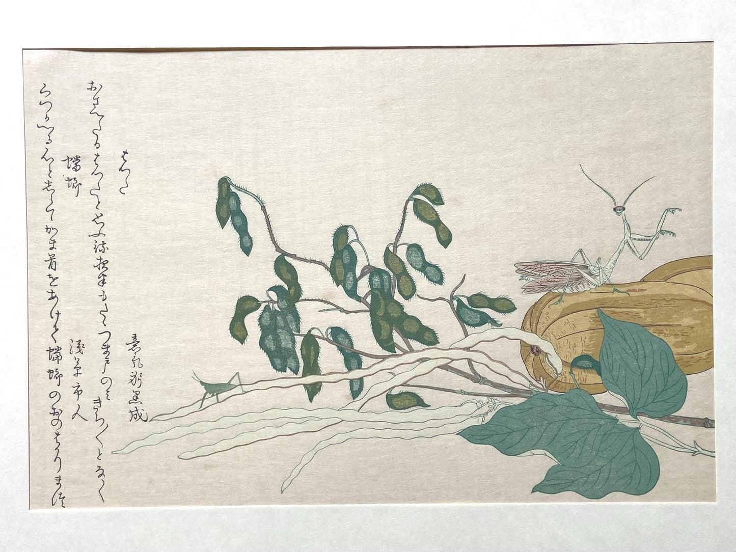 Japanese Ukiyo-e Woodblock print, Utamaro, "Praying Mantis (Tôrô/kamakiri) and Cone-headed Grasshopper (Batta)"
