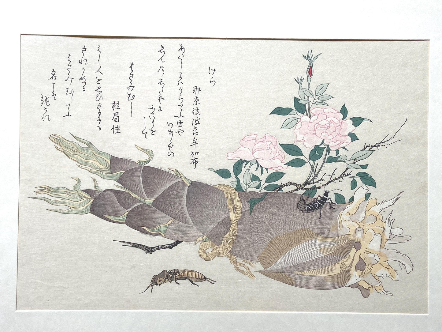 Japanese Ukiyoe, woodcut print, Utamaro, "Earwig (Hasamimushi) and Mole Cricket (Kera)"