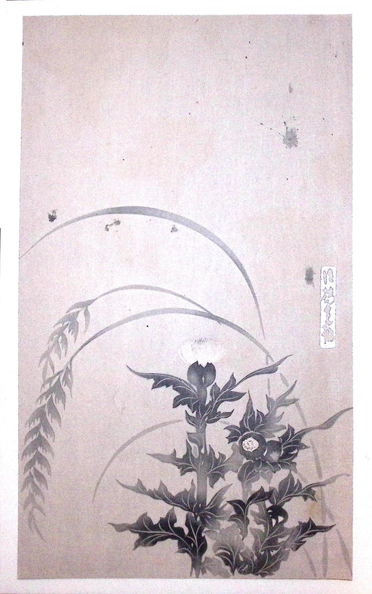 Japanese design, antique, woodcut print, Rimpa.