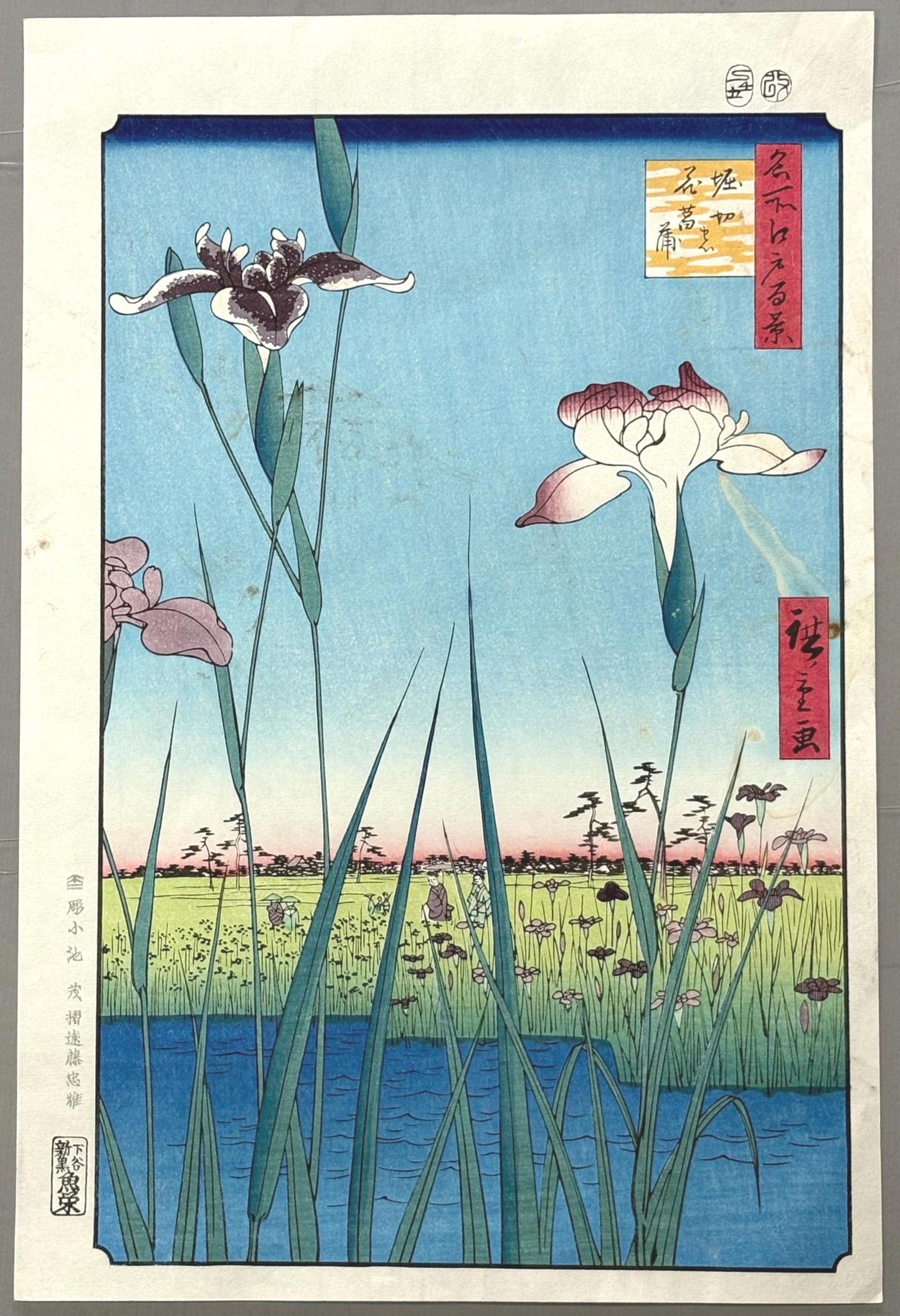 Japanese Ukiyoe, Woodblock print, "Horikiri Iris Garden (Horikiri no hanashôbu)".