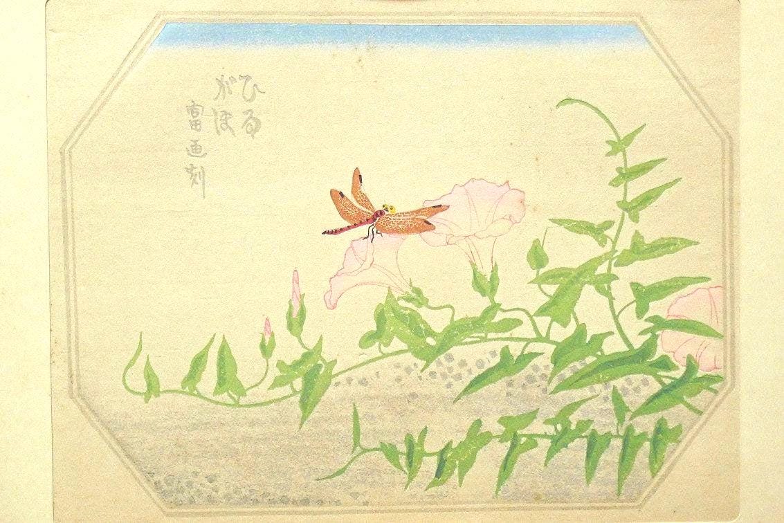 1932, Ukiyoe, Original Sōsaku-hanga, Woodblock print, Tokuriki Tomikichiro, "Calystegia japonica"