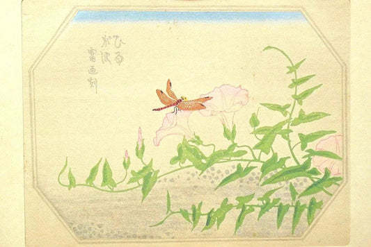 1932, Ukiyoe, Original Sōsaku-hanga, Woodblock print, Tokuriki Tomikichiro, "Calystegia japonica"