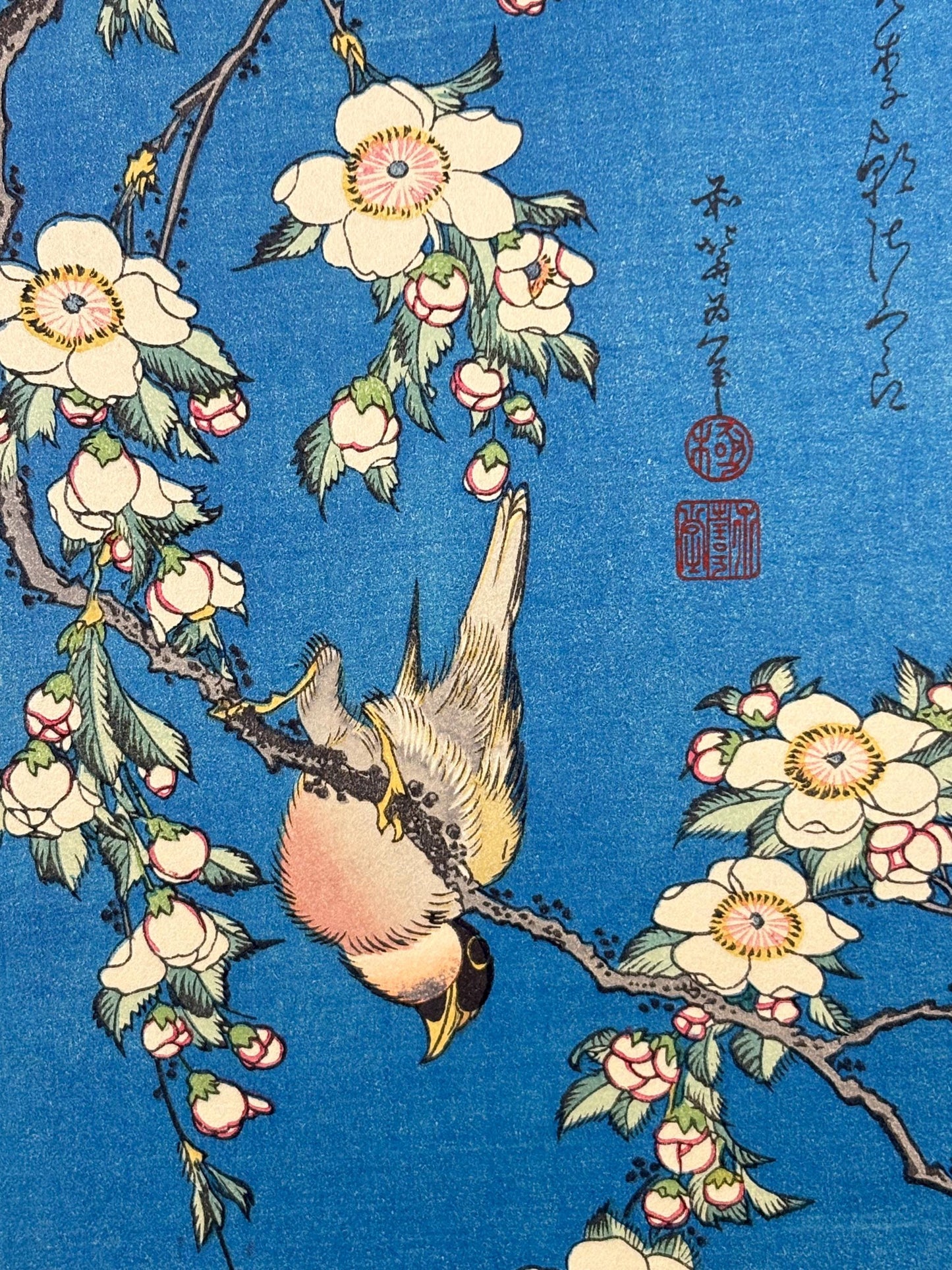 Japanese Ukiyo-e Woodblock print, Hokusai, "A Bullfinch and A Dropping Cherry Tree"