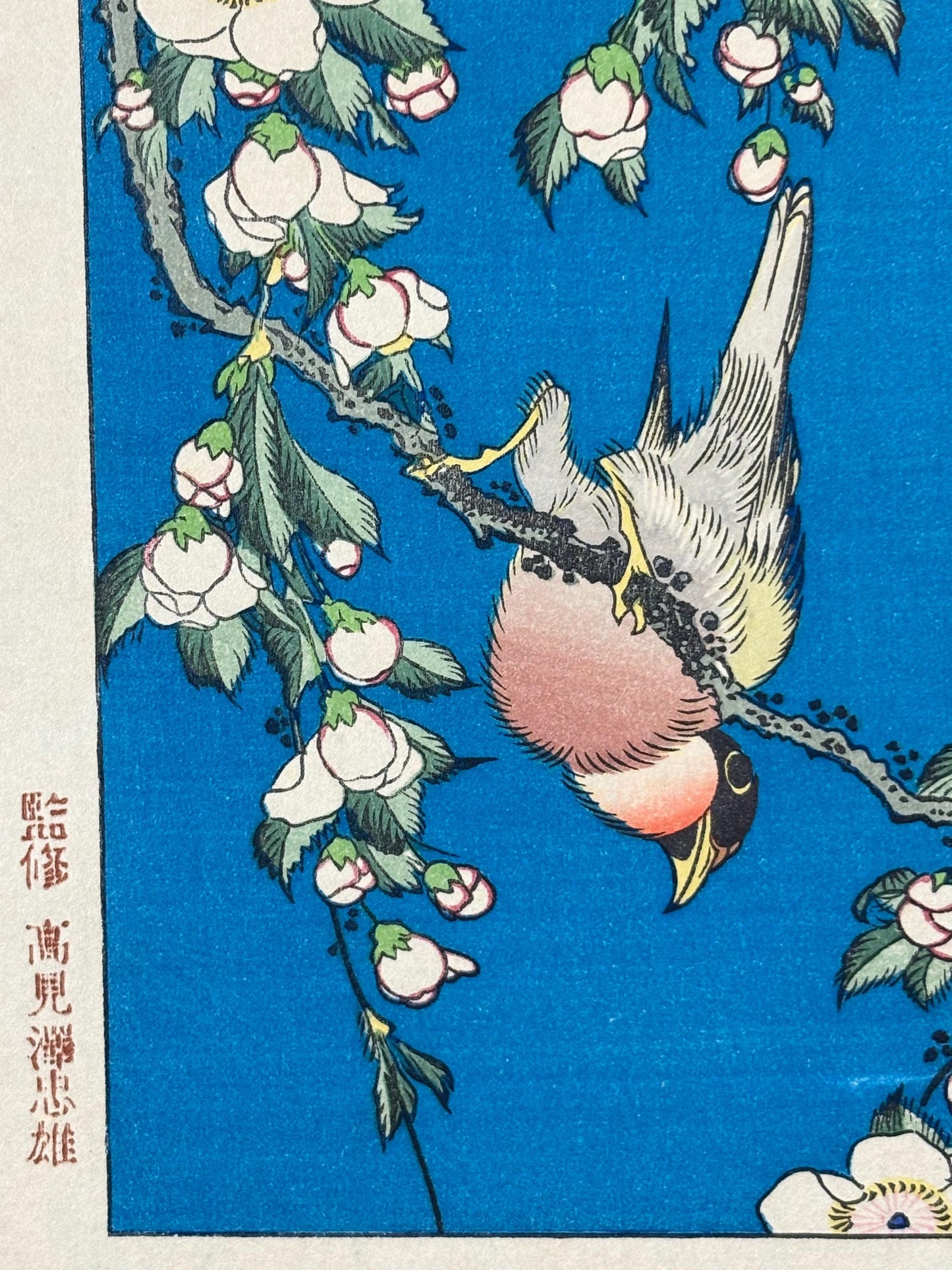 Japanese Ukiyo-e Woodblock print, Katsushika Hokusai, "A Bullfinch and A Dropping Cherry Tree"