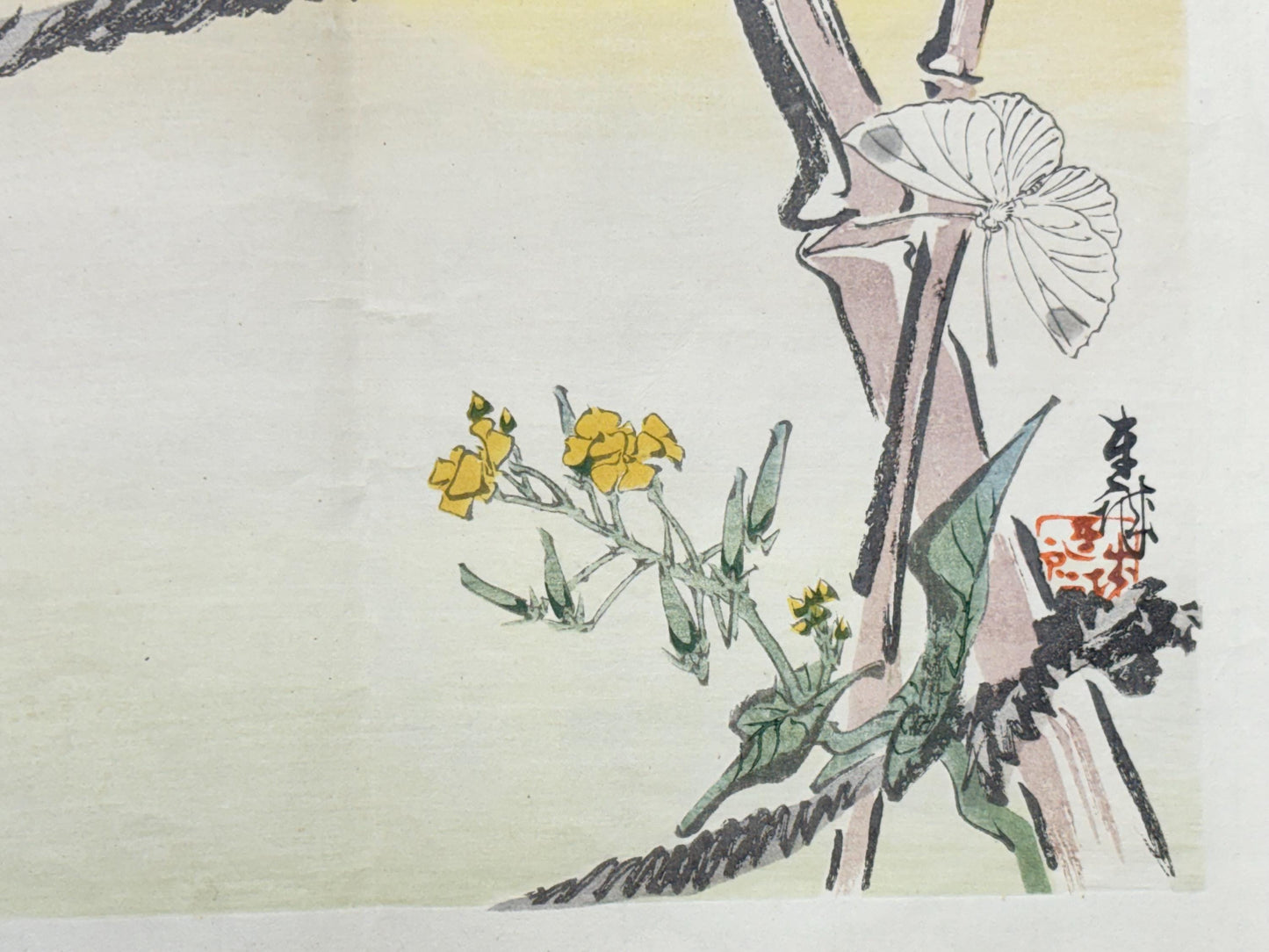 1913, Japanese Woodblock print, antique, Ichimi Renjo, "Butterflies Among Rapeseed Blossoms".