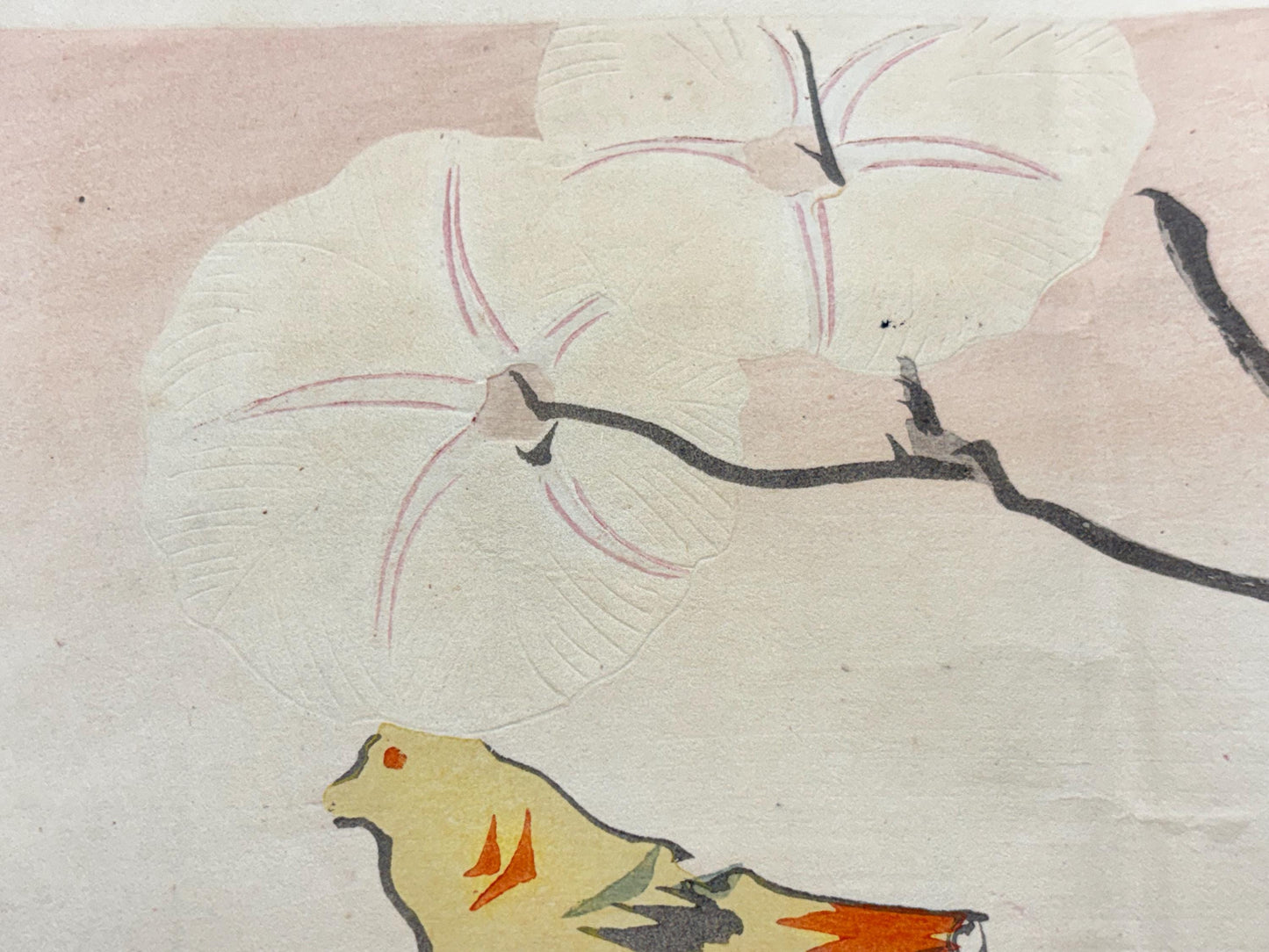 1913, Japanese Woodblock print, antique, Ichimi Renjo, "Morning Glories and Gathered Blossoms".