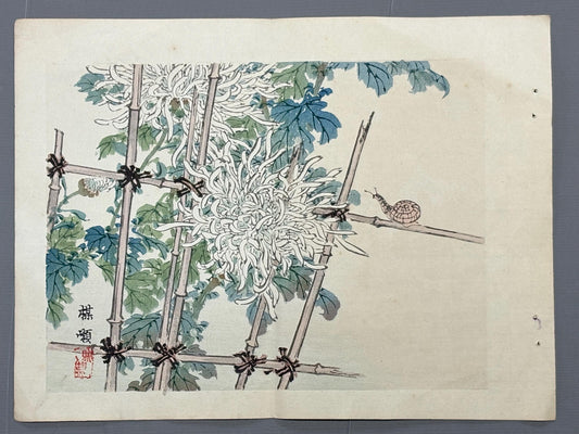 1913, Japanese Woodblock print, antique, Kono Bairei.