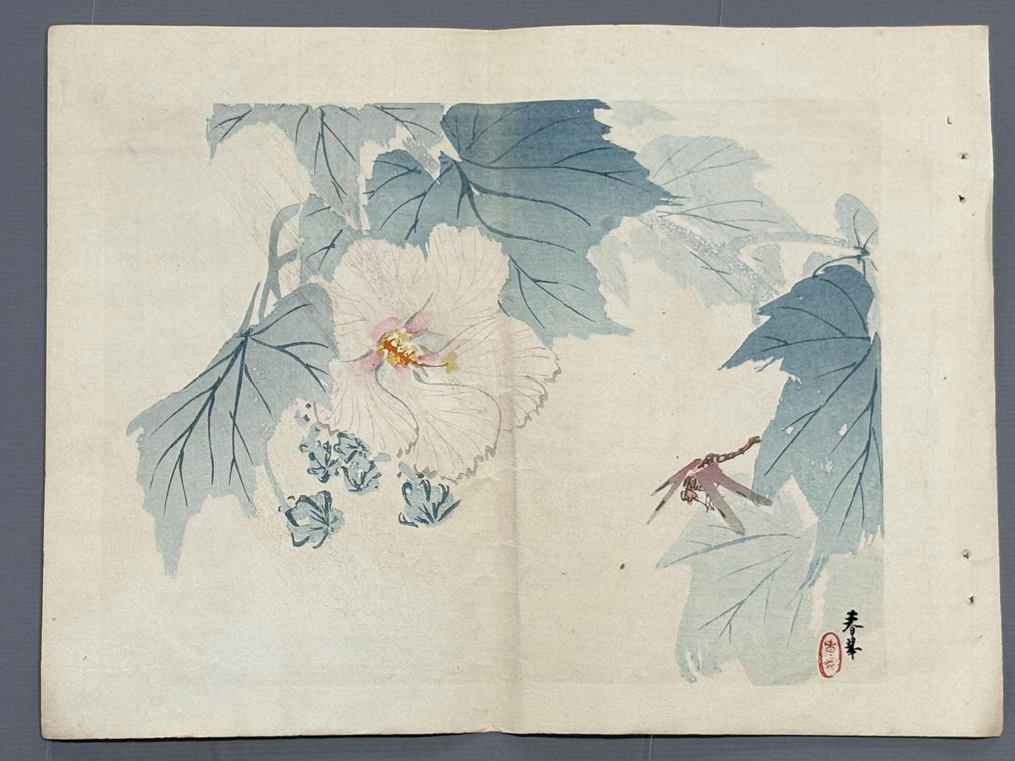 1913, Japanese Woodblock print, antique, Yamamoto Shunkyo  "Dragonfly and Hibiscus".