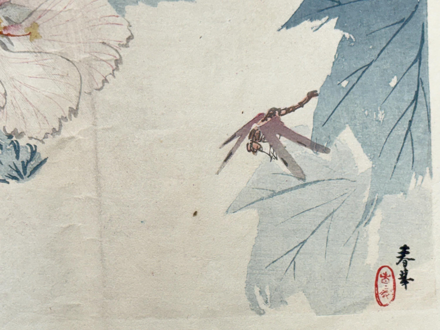 1913, Japanese Woodblock print, antique, Yamamoto Shunkyo  "Dragonfly and Hibiscus".