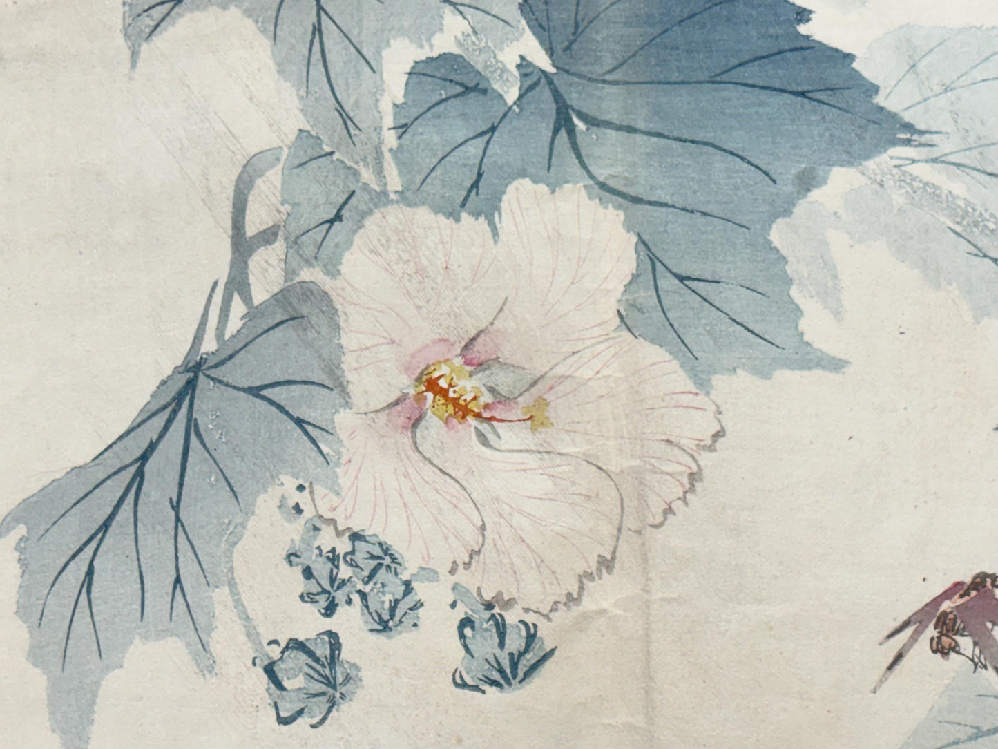1913, Japanese Woodblock print, antique, Yamamoto Shunkyo  "Dragonfly and Hibiscus".