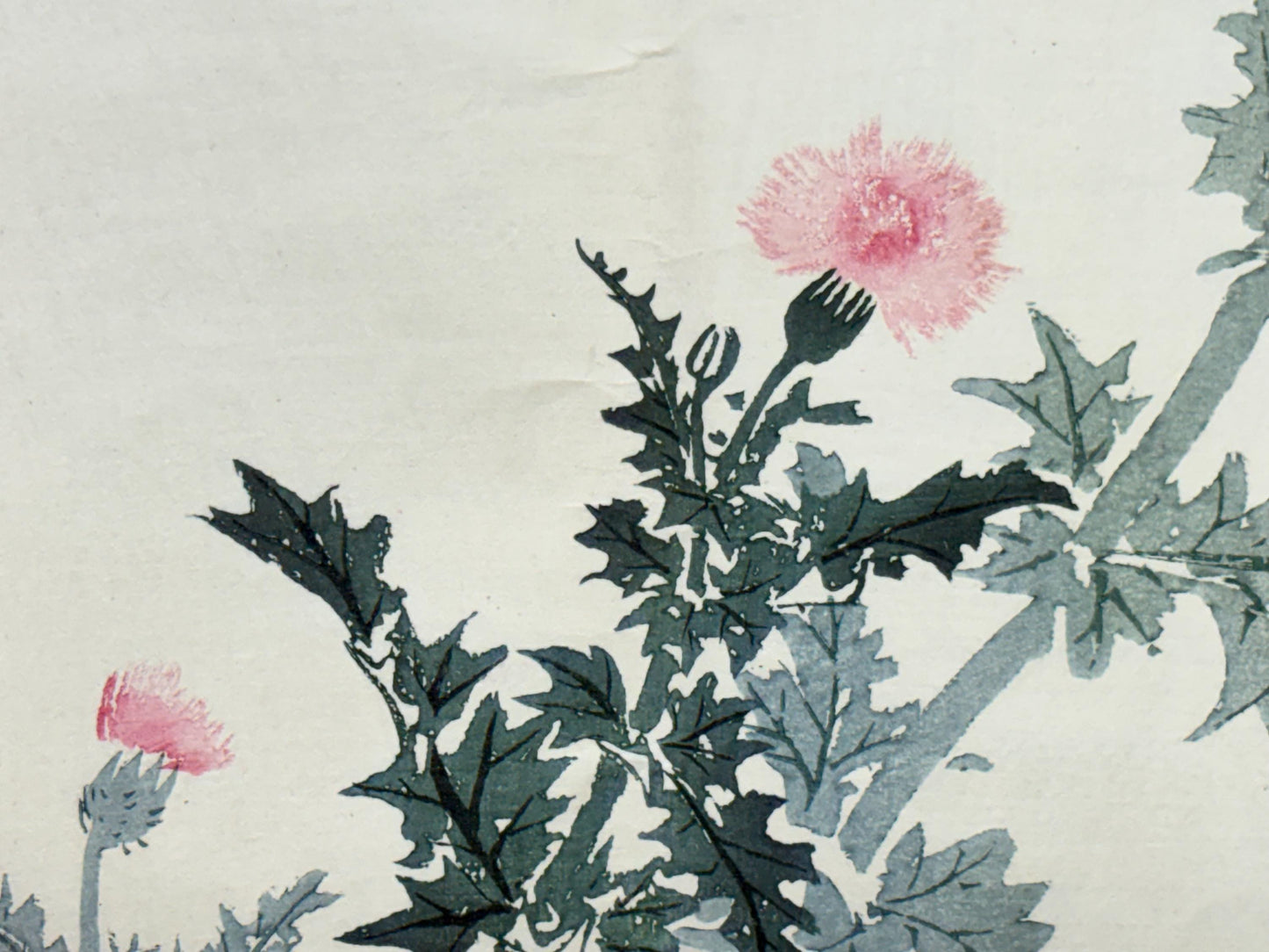 1913, Japanese Woodblock print, antique, Kawabata Gyokushu,  "Thistle Blossom".