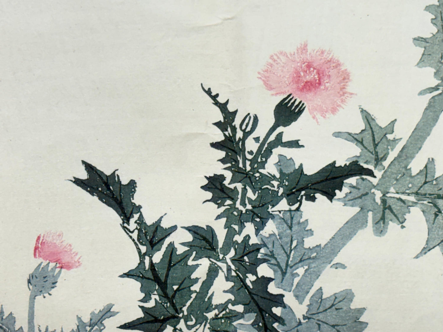 1913, Japanese Woodblock print, Kawabata Gyokushu,  "Thistle Blossom".