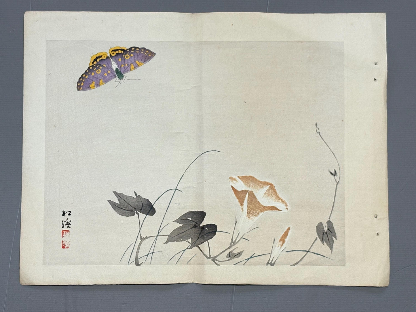 1913, Japanese Woodblock print, antique, Yamada Shokei,  "Butterfly and Morning Glories".