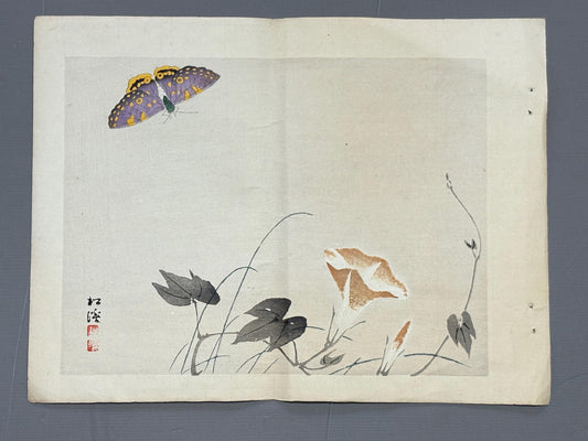 1913, Japanese Woodblock print, antique, Yamada Shokei,  "Butterfly and Morning Glories".