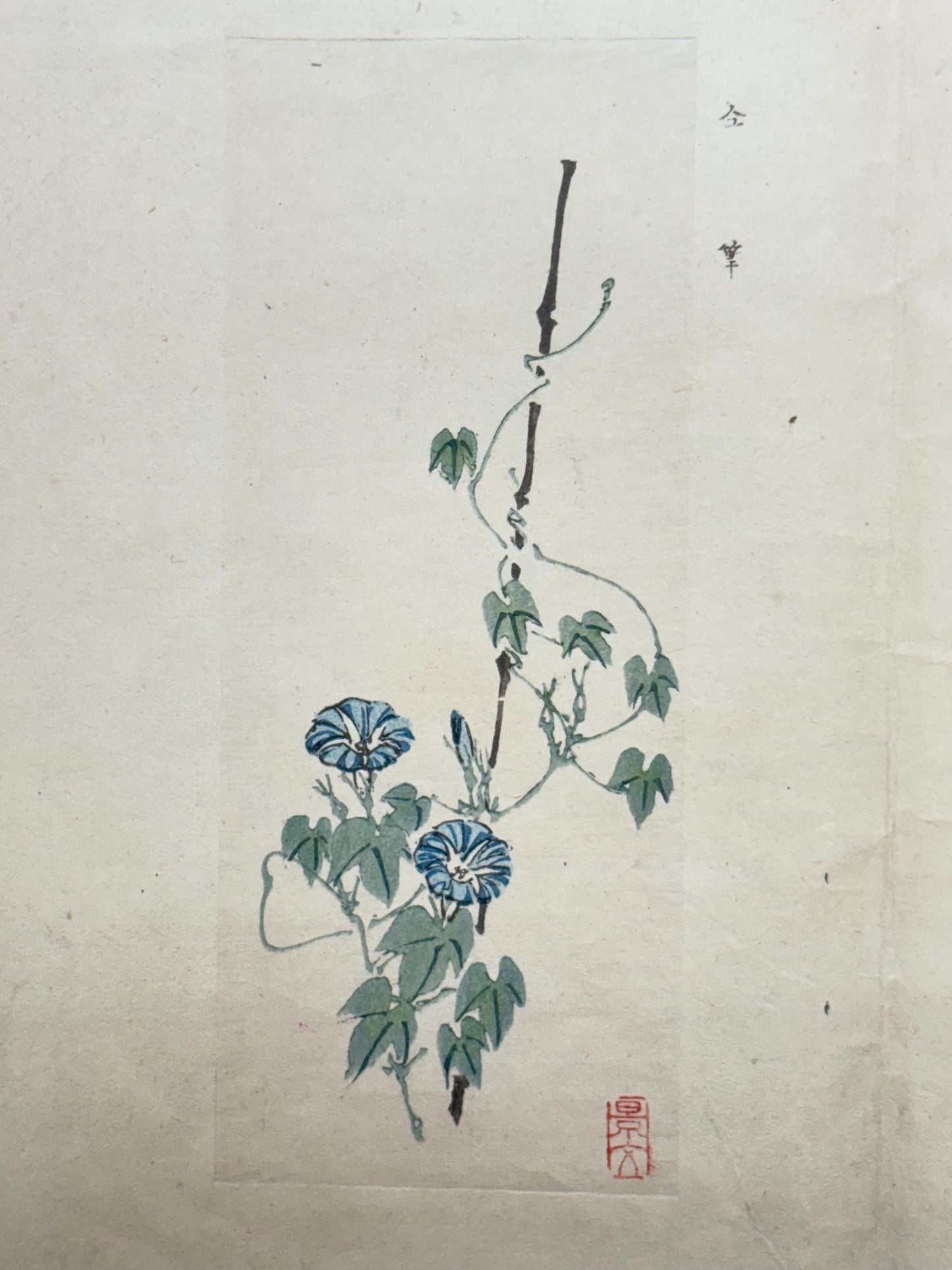 1913, Japanese Woodblock print, antique, Yamada Shokei,  "Poppies and Morning Glories".