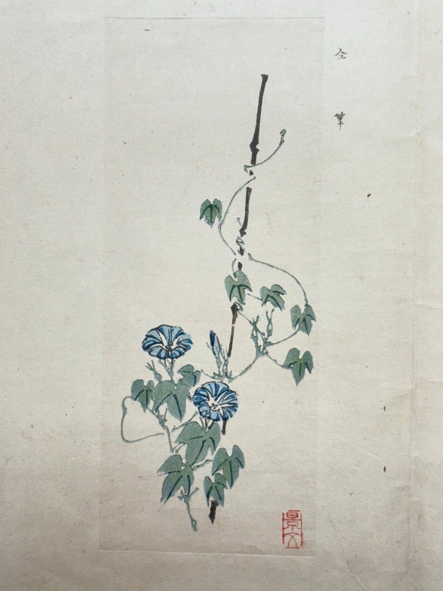 1913, Japanese Woodblock print, Yamada Shokei,  "Poppies and Morning Glories".