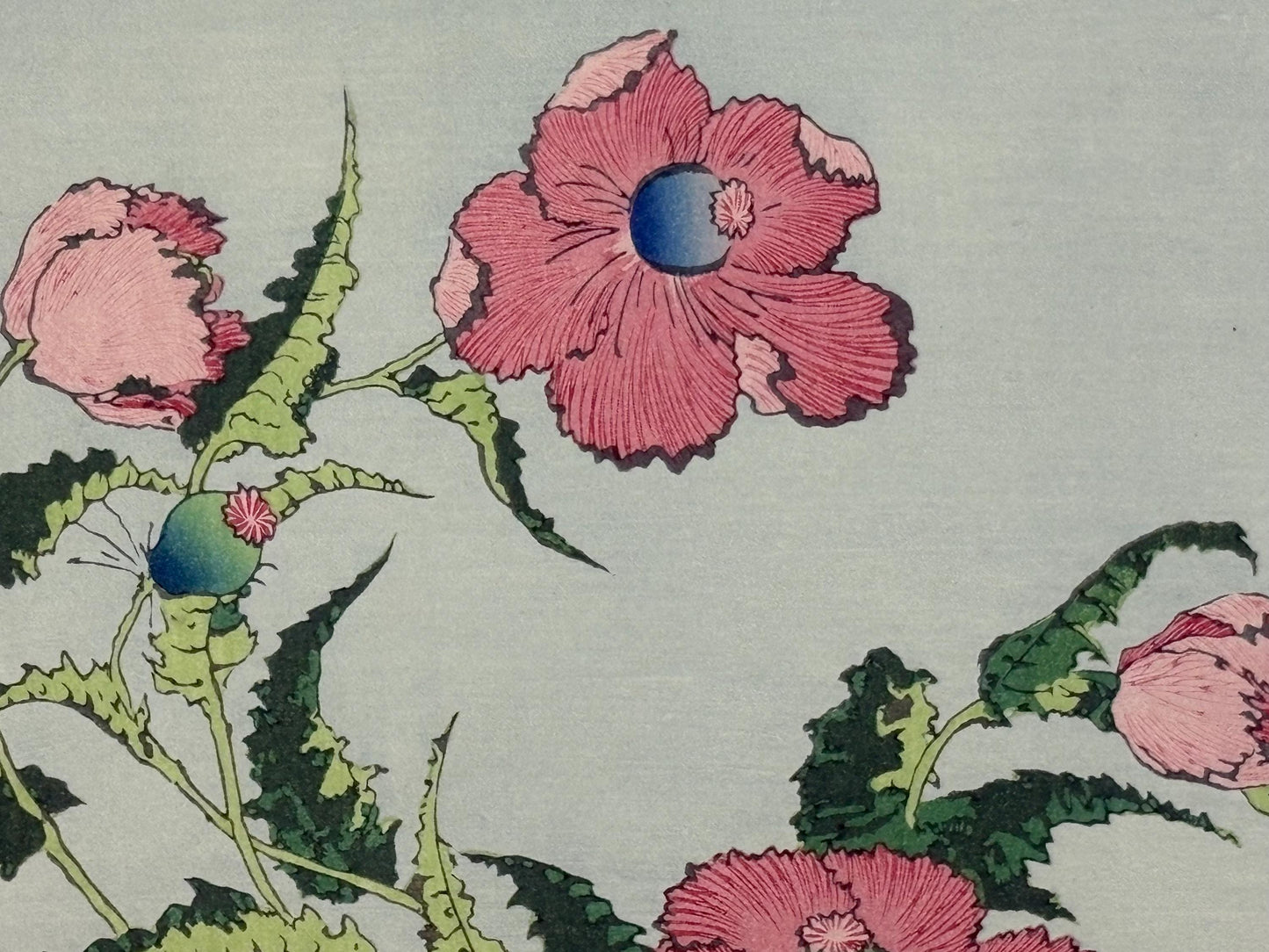 Japanese Ukiyoe, Woodblock print, Katsushika Hokusai, "A poppy"