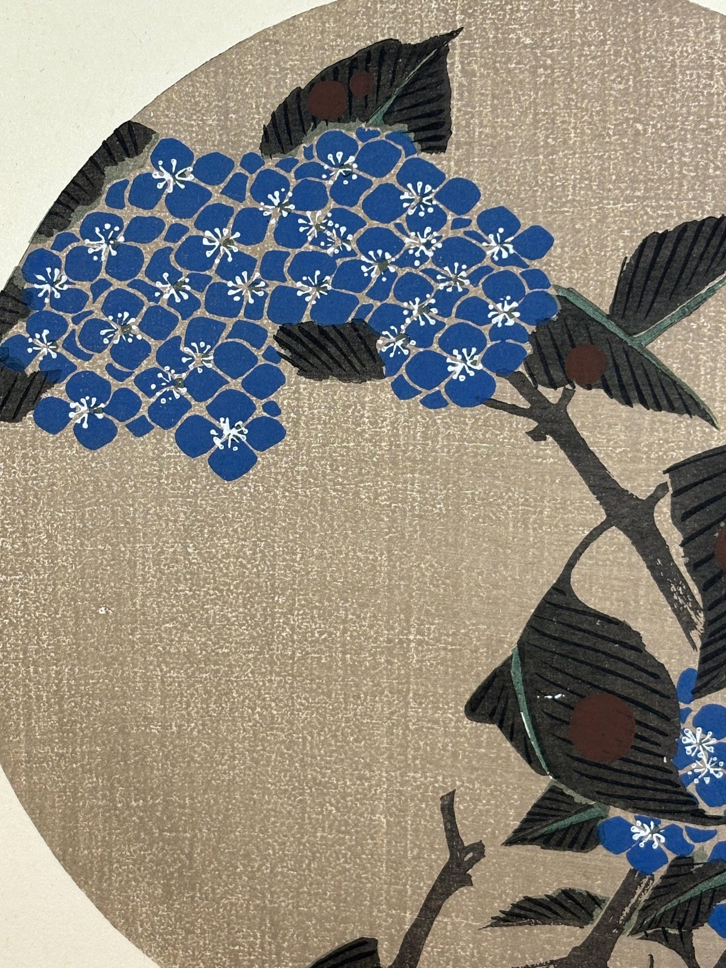1908, Japanese antique woodblock print, Ito Jakuchu, "Hydrangea macrophylla, from Jakuchu gafu"