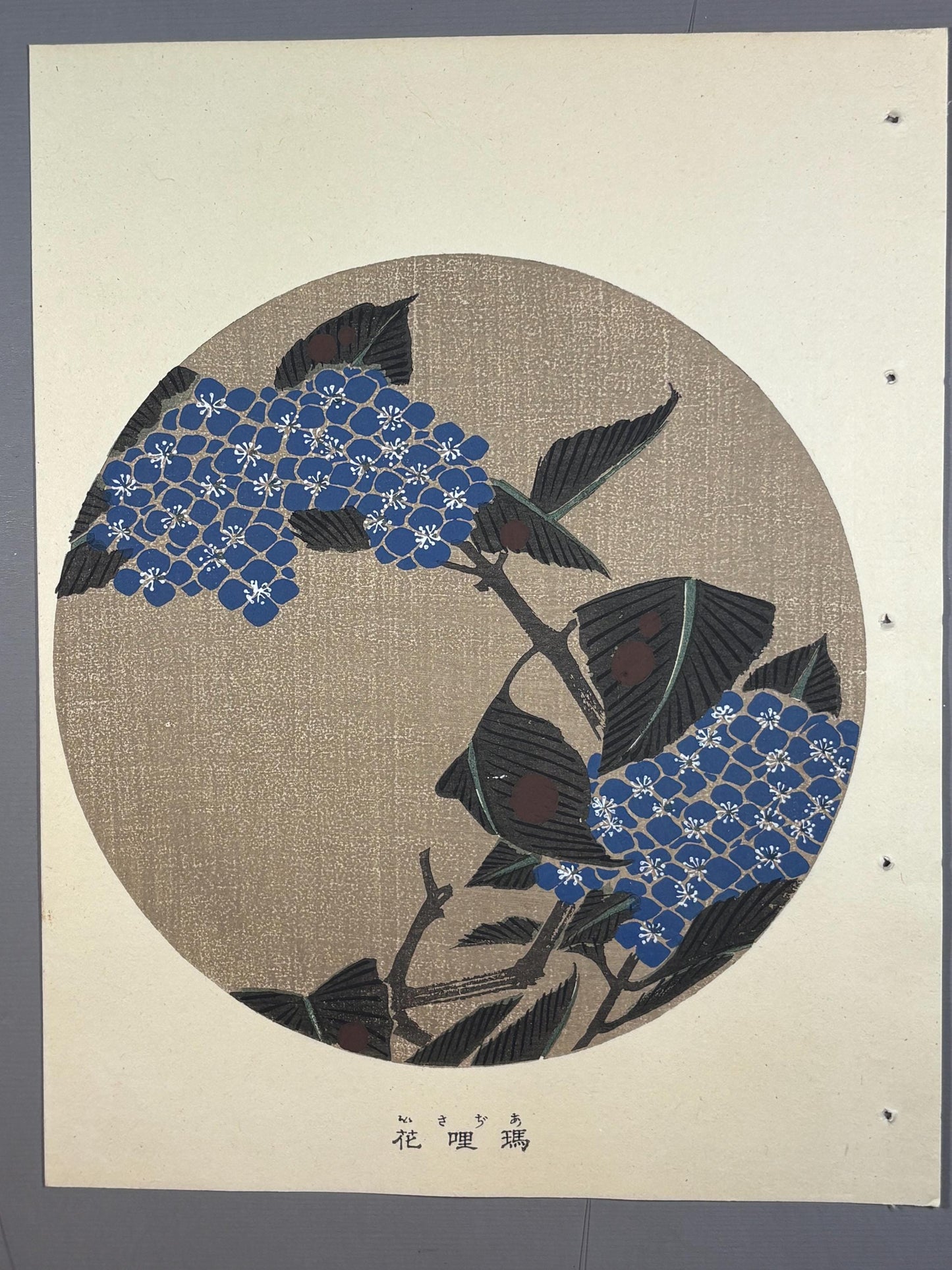 1908, Japanese antique woodblock print, Ito Jakuchu, "Hydrangea macrophylla, from Jakuchu gafu"