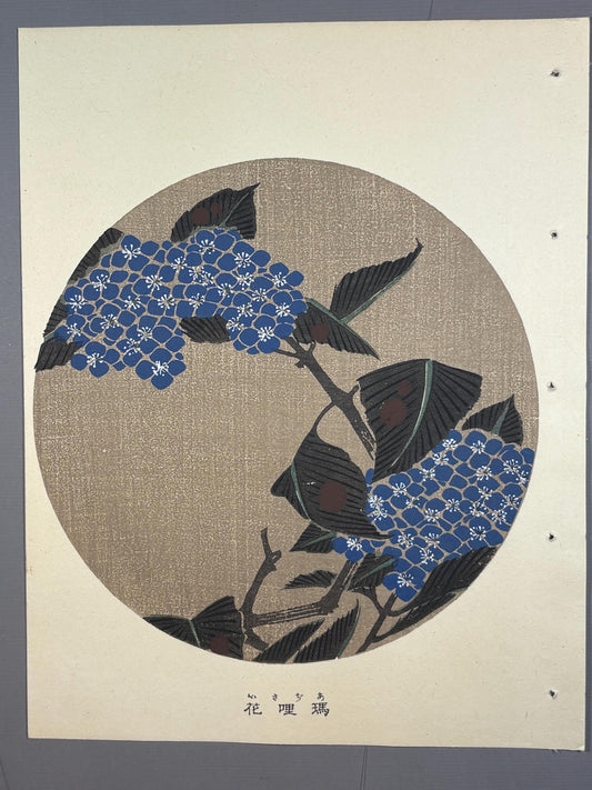 1908, Japanese antique woodblock print, Ito Jakuchu, "Hydrangea macrophylla, from Jakuchu gafu"