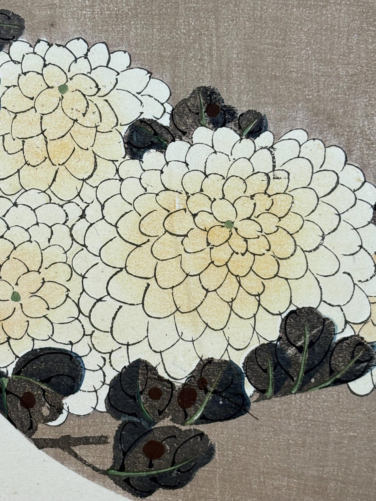 1908, Japanese antique woodblock print, Ito Jakuchu, "Chrysanthemum, from Jakuchu gafu"