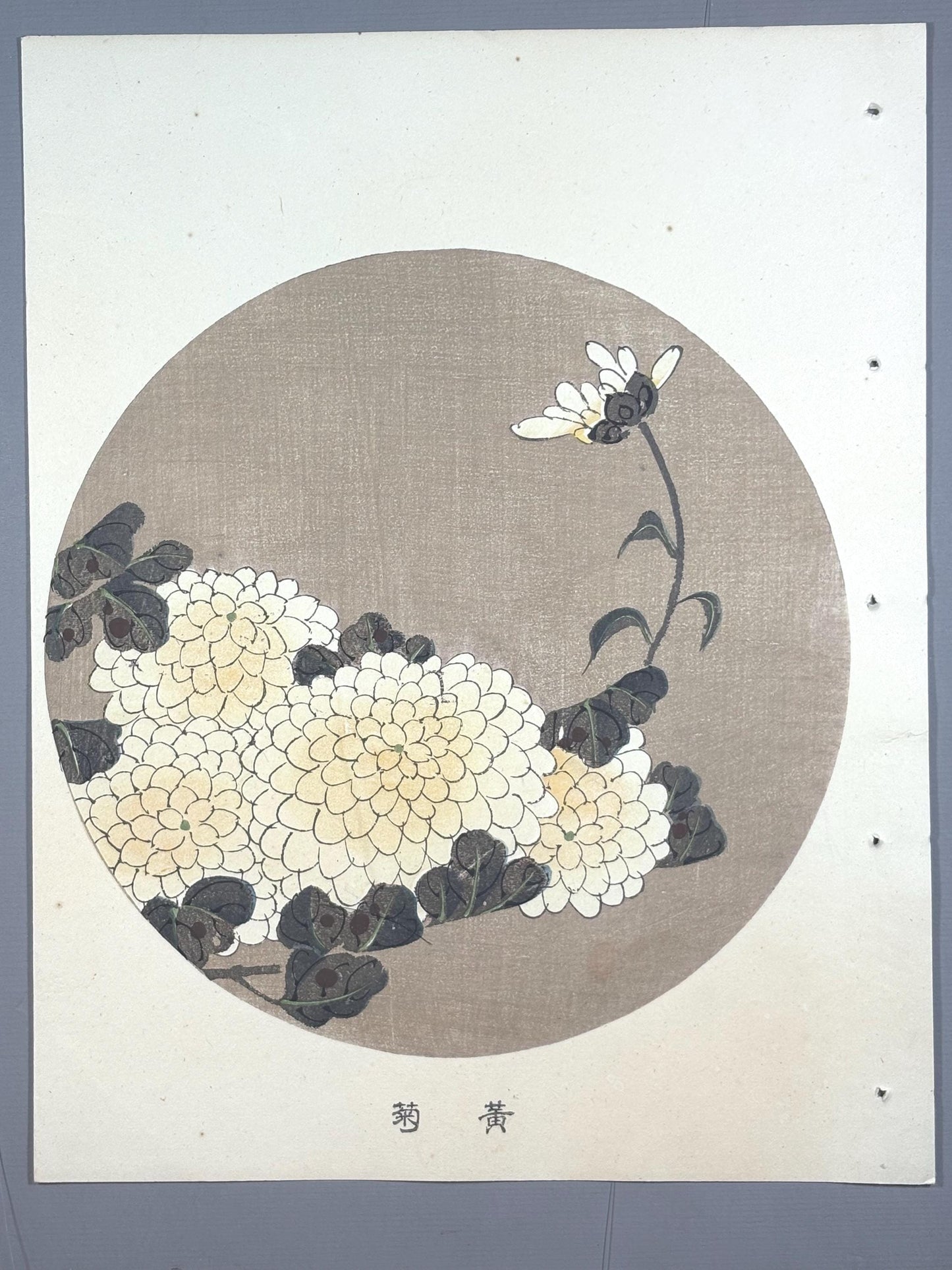 1908, Japanese antique woodblock print, Ito Jakuchu, "Chrysanthemum, from Jakuchu gafu"