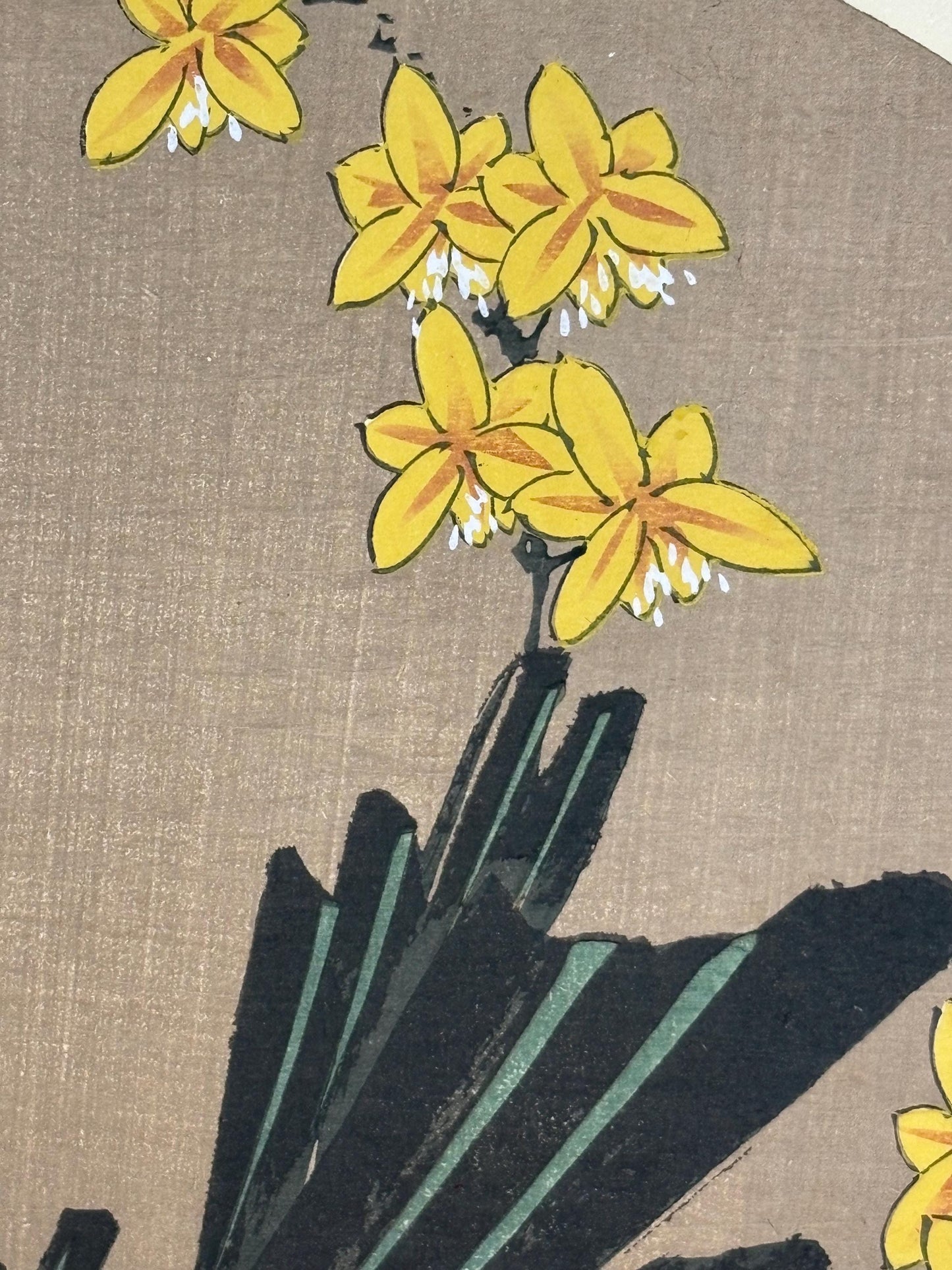 1908, Japanese antique woodblock print, Ito Jakuchu, "Leopard flower, from Jakuchu gafu"