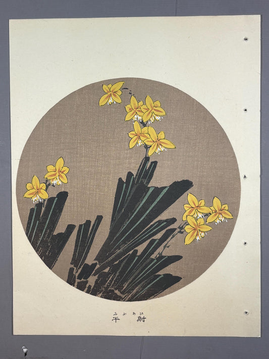 1908, Japanese antique woodblock print, Ito Jakuchu, "Leopard flower, from Jakuchu gafu"