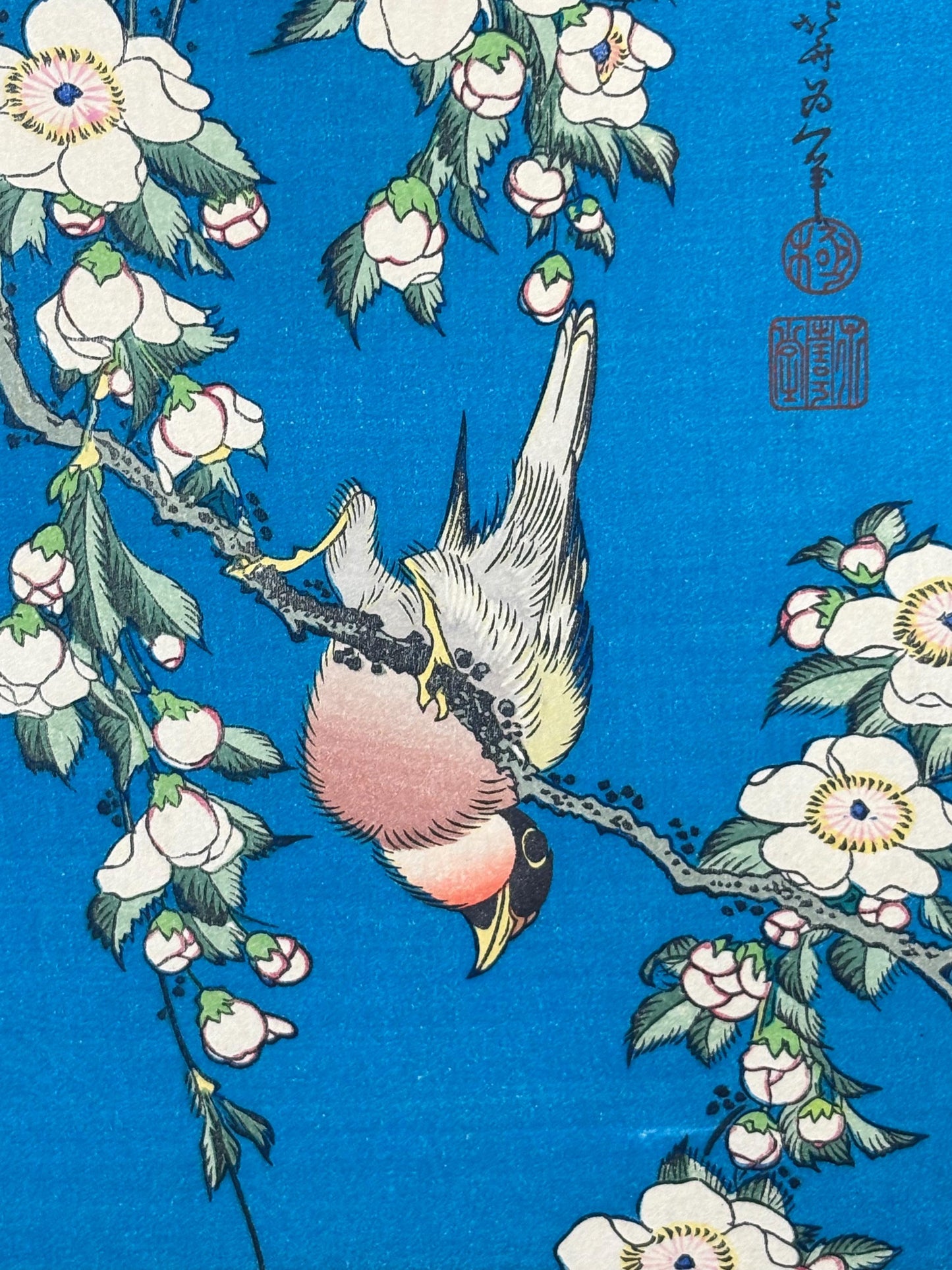 Japanese Ukiyo-e Woodblock print, Katsushika Hokusai, "A Bullfinch and A Dropping Cherry Tree"