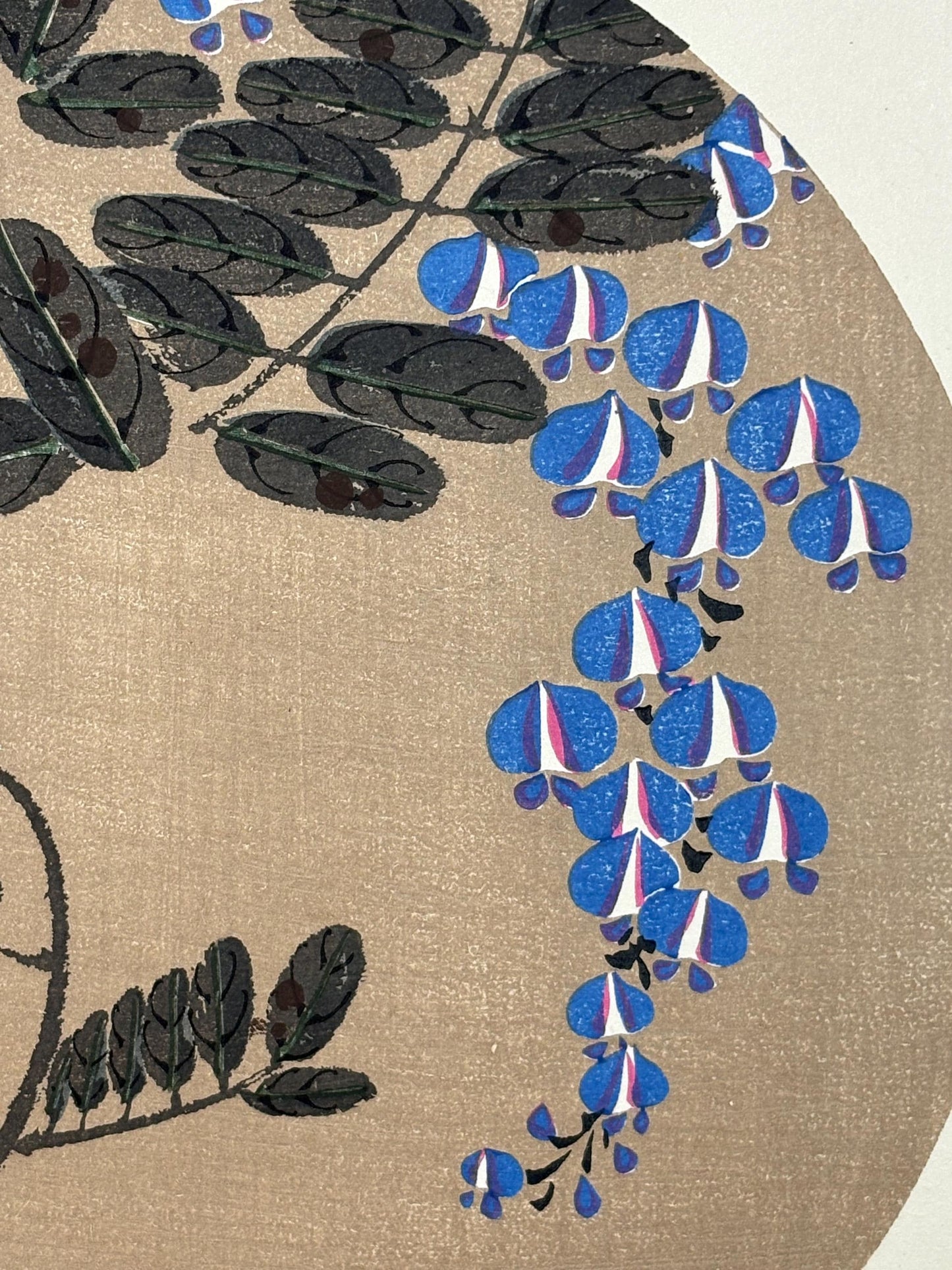 1908, Japanese antique woodblock print, Ito Jakuchu, "wisteria, from Jakuchu gafu"
