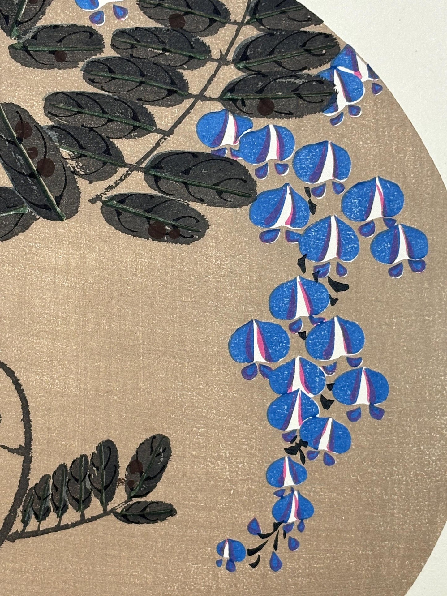 1908, Japanese antique woodblock print, Ito Jakuchu, "wisteria, from Jakuchu gafu"