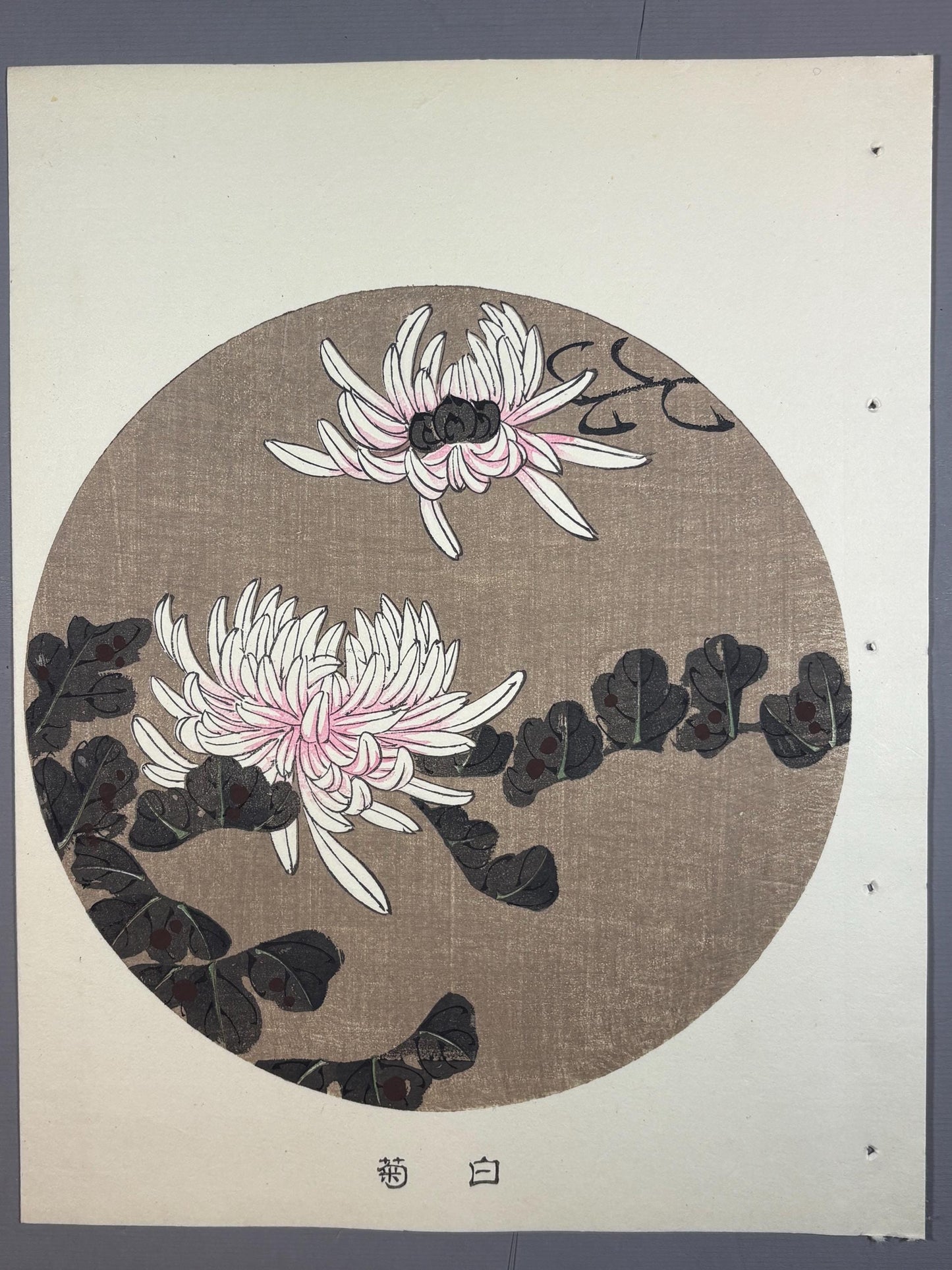 1908, Japanese antique woodblock print, Ito Jakuchu, "white chrysanthemum, from Jakuchu gafu"
