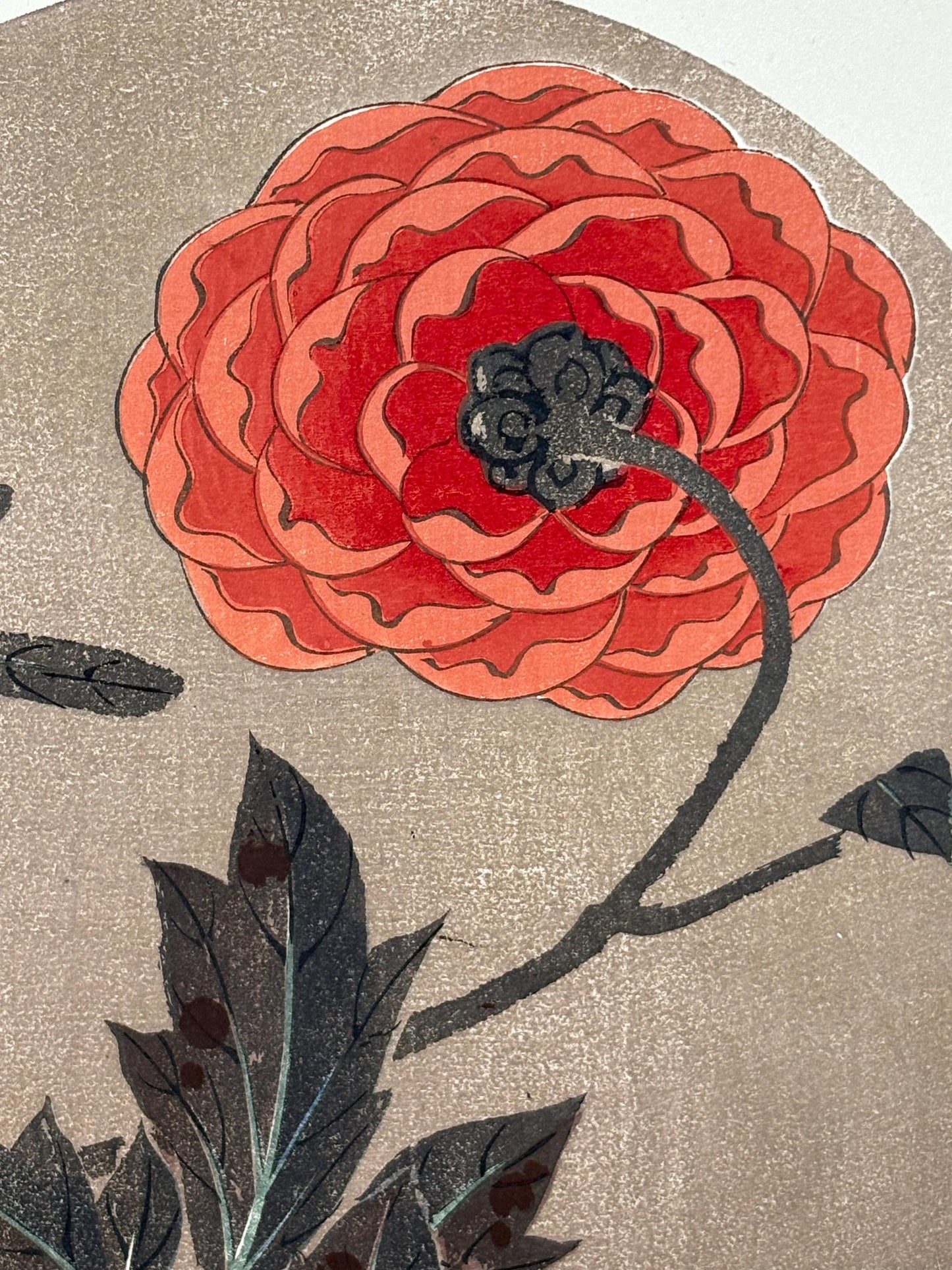 1908, Japanese antique woodblock print, Ito Jakuchu, "peony, from Jakuchu gafu"