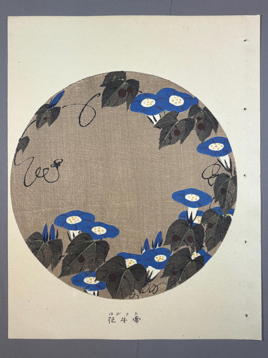 1908, Japanese antique woodblock print, Ito Jakuchu, "morning glory, from Jakuchu gafu"