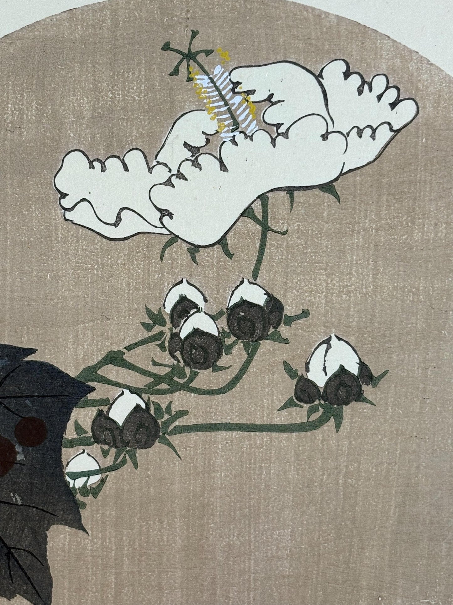 1908, Japanese antique woodblock print, Ito Jakuchu, "cotton rose, from Jakuchu gafu"
